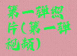 第一弹照片(第一弹视频)