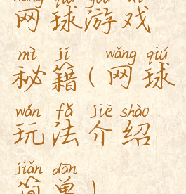 网球游戏秘籍(网球玩法介绍简单)