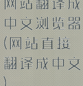 网站翻译成中文浏览器(网站直接翻译成中文)