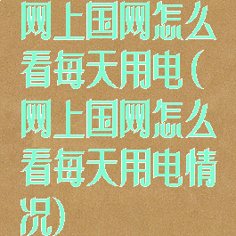 网上国网怎么看每天用电(网上国网怎么看每天用电情况)