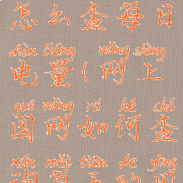 网上国网怎么查每日电量(网上国网如何查询每天的用电量)