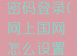 网上国网怎么设置密码登录(网上国网怎么设置密码登录不了)