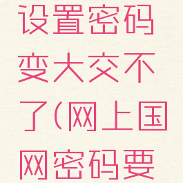 网上国网设置密码变大交不了(网上国网密码要求)