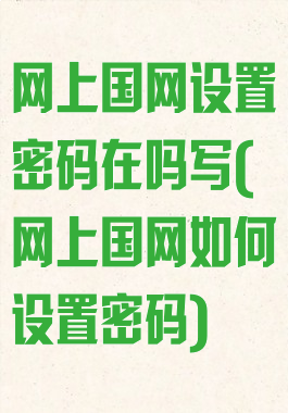 网上国网设置密码在吗写(网上国网如何设置密码)