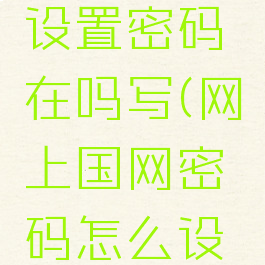网上国网设置密码在吗写(网上国网密码怎么设置才算)