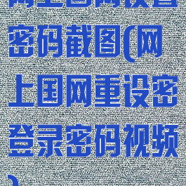 网上国网设置密码截图(网上国网重设密登录密码视频)