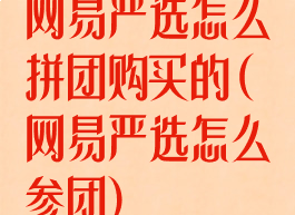 网易严选怎么拼团购买的(网易严选怎么参团)