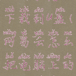 网易云电脑上的歌怎么下载到u盘(网易云怎么把电脑上的歌曲下载到u盘)