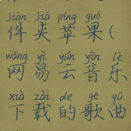 网易云音乐下载的歌曲在哪个文件夹苹果(网易云音乐下载的歌曲在哪个文件夹苹果手机)