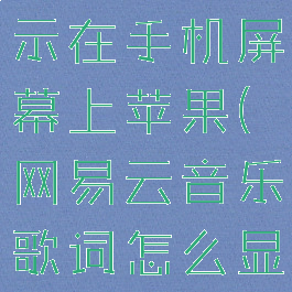 网易云音乐歌词怎么显示在手机屏幕上苹果(网易云音乐歌词怎么显示在苹果手机上面)