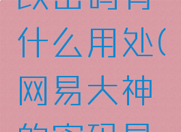 网易大神改密码有什么用处(网易大神的密码是输什么的)