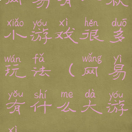 网易有一款小游戏很多玩法(网易有什么大游戏)