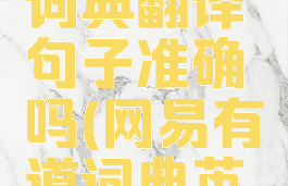 网易有道词典翻译句子准确吗(网易有道词典英语翻译)