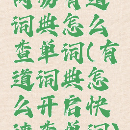 网易有道词典怎么查单词(有道词典怎么开启快速查单词)