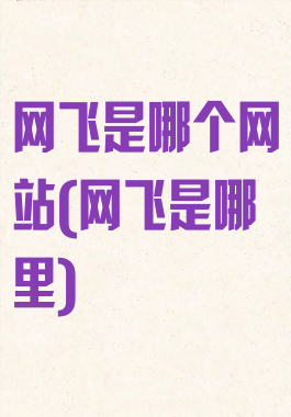 网飞是哪个网站(网飞是哪里)