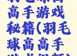 羽毛球高高手游戏秘籍(羽毛球高高手游戏视频)