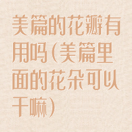 美篇的花瓣有用吗(美篇里面的花朵可以干嘛)