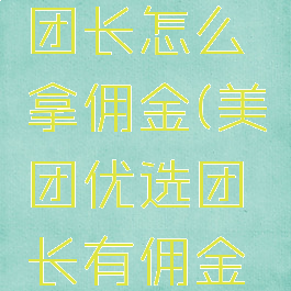 美团优选团长怎么拿佣金(美团优选团长有佣金吗)