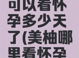 美柚哪里可以看怀孕多少天了(美柚哪里看怀孕几率)