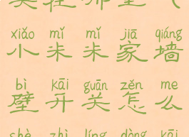 米家灵动开关在哪里(小米米家墙壁开关怎么设置灵动开关)