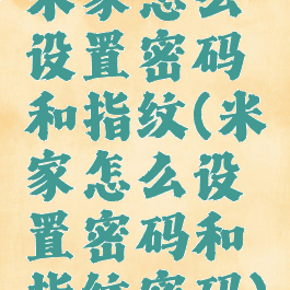 米家怎么设置密码和指纹(米家怎么设置密码和指纹密码)