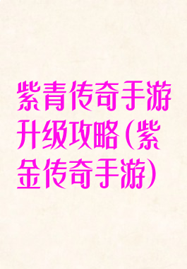 紫青传奇手游升级攻略(紫金传奇手游)