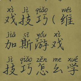 维加斯游戏技巧(维加斯游戏技巧怎么学)