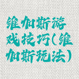 维加斯游戏技巧(维加斯玩法)