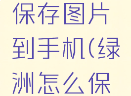 绿洲怎么保存图片到手机(绿洲怎么保存原图)