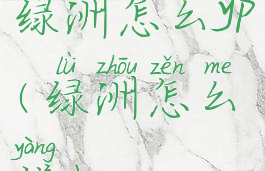 绿洲怎么yp(绿洲怎么样)