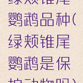 绿颊锥尾鹦鹉品种(绿颊锥尾鹦鹉是保护动物吗)