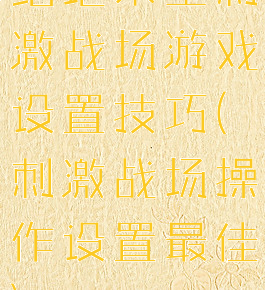 绝地求生刺激战场游戏设置技巧(刺激战场操作设置最佳)