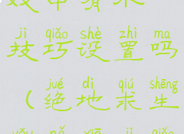 绝地求生游戏中有小技巧设置吗(绝地求生有哪些技巧)