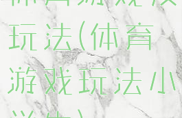 体育游戏及玩法(体育游戏玩法小学生)