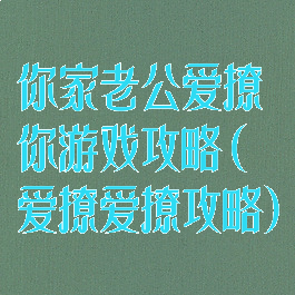 你家老公爱撩你游戏攻略(爱撩爱撩攻略)