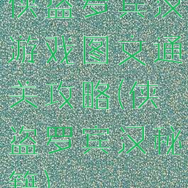 侠盗罗宾汉游戏图文通关攻略(侠盗罗宾汉秘籍)