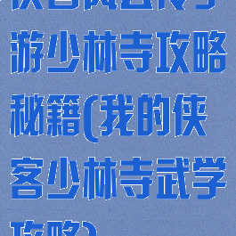 侠客风云传手游少林寺攻略秘籍(我的侠客少林寺武学攻略)