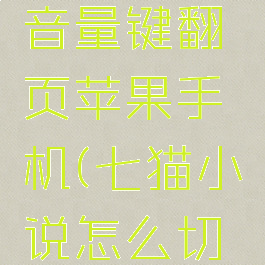 七猫小说怎么设置音量键翻页苹果手机(七猫小说怎么切换听书的声音)