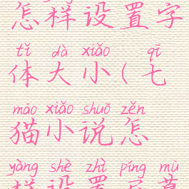 七猫小说怎样设置字体大小(七猫小说怎样设置屏幕时间)