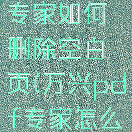 万兴pdf专家如何删除空白页(万兴pdf专家怎么去水印)