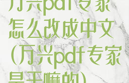 万兴pdf专家怎么改成中文(万兴pdf专家是干嘛的)