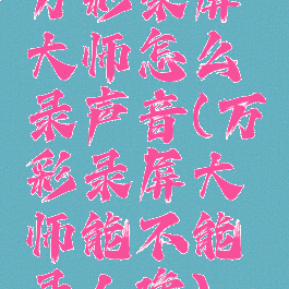 万彩录屏大师怎么录声音(万彩录屏大师能不能录人像)