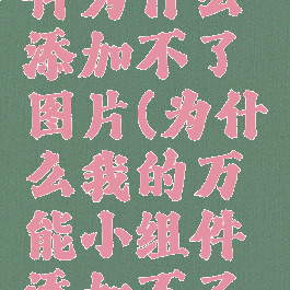 万能小组件为什么添加不了图片(为什么我的万能小组件添加不了图片了)
