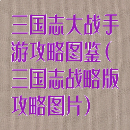 三国志大战手游攻略图鉴(三国志战略版攻略图片)