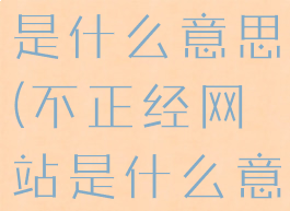 不正经网站是什么意思(不正经网站是什么意思呀)