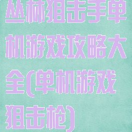 丛林狙击手单机游戏攻略大全(单机游戏狙击枪)