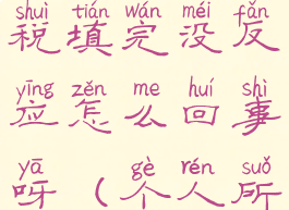 个人所得税租房退税填完没反应怎么回事呀(个人所得税退税的租房信息)