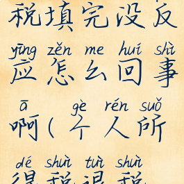 个人所得税租房退税填完没反应怎么回事啊(个人所得税退税忘记填租房了)