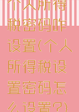 个人所得税密码咋设置(个人所得税设置密码怎么设置?)