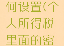 个人所得税密码如何设置(个人所得税里面的密码怎么设置)